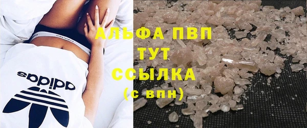 ГАЛЛЮЦИНОГЕННЫЕ ГРИБЫ Надым